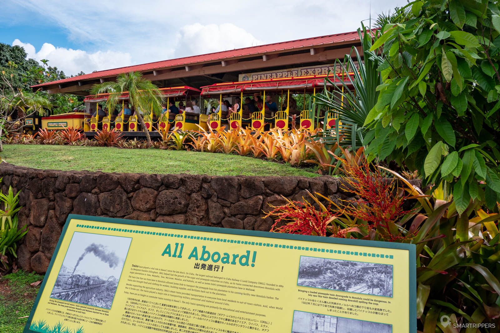 In the heart of Oahu visit of the pineapple and coffee plantations