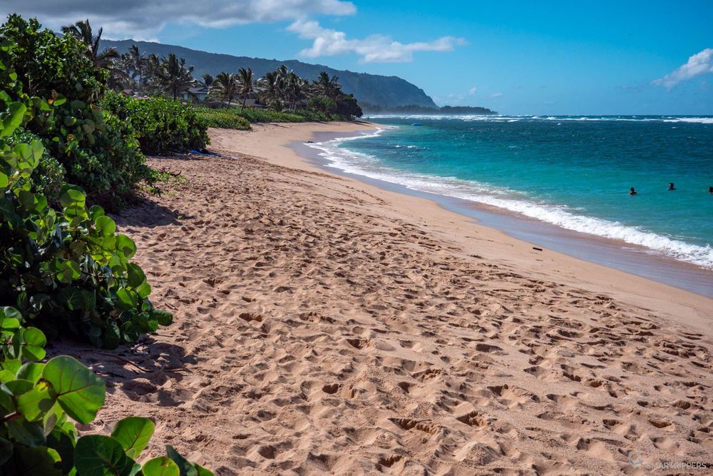 La plage au niveau du Beach Park