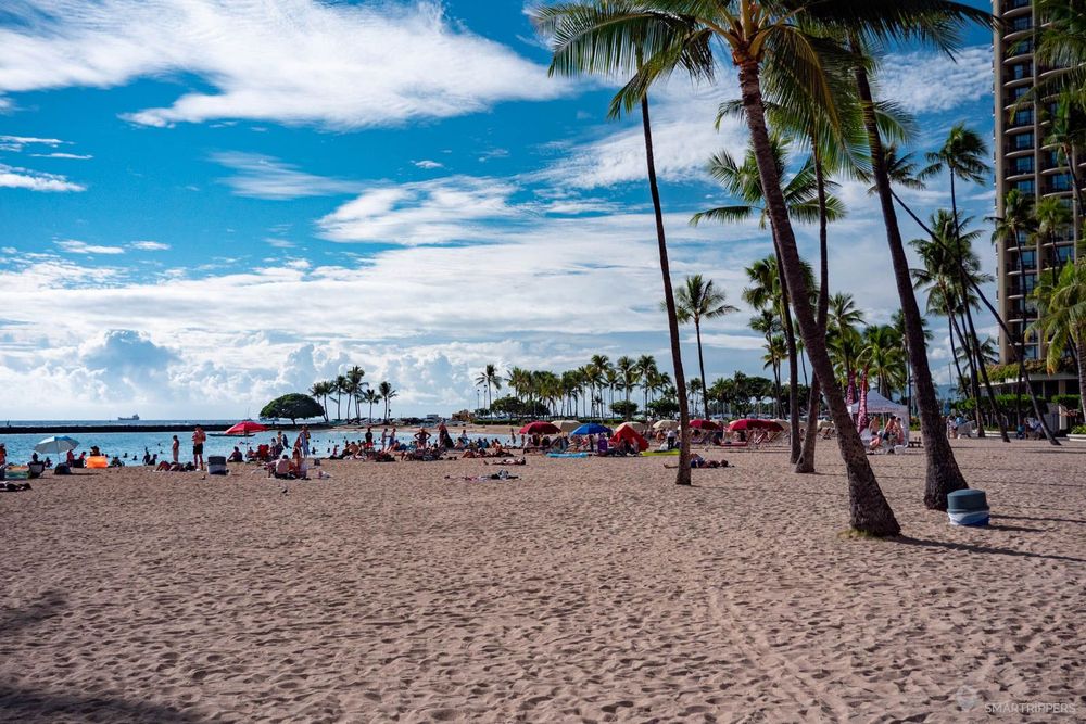 Kahanamoku Beach et ses quelques palmiers.