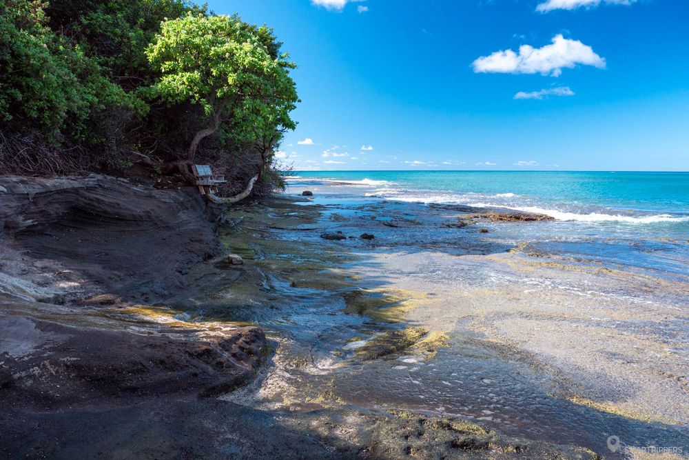 Le récif au bord du Koke'e Beach Park