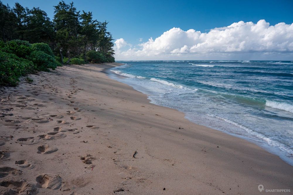 La plage depuis l'accès sauvage avant le Beach Park
