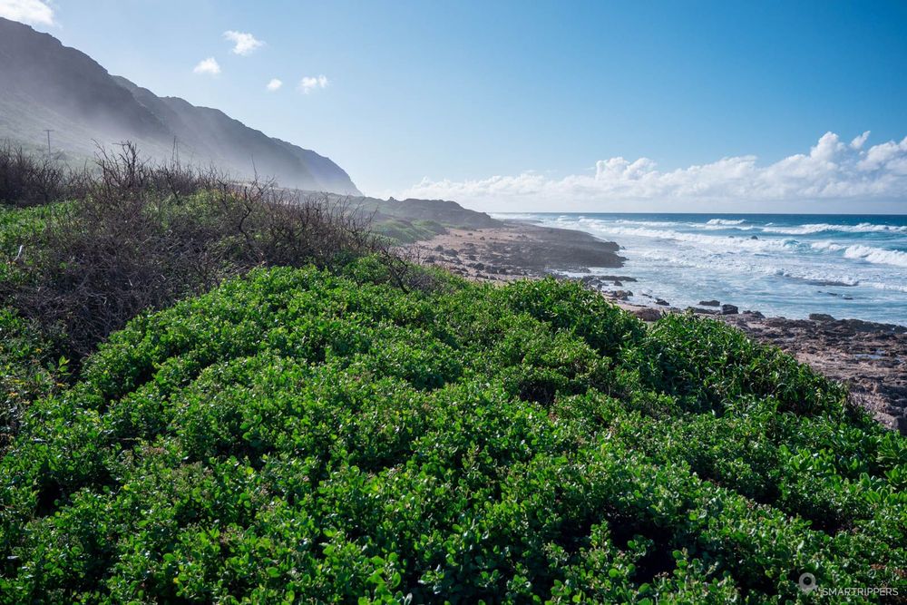 La plage laisse place aux rochers