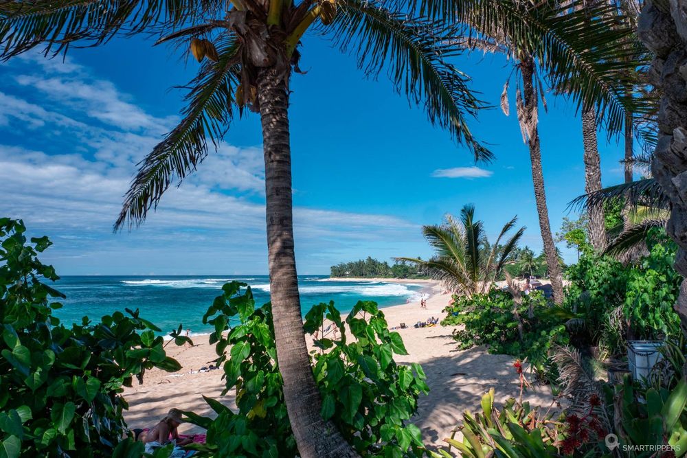 La plage se dessine derrière les palmiers