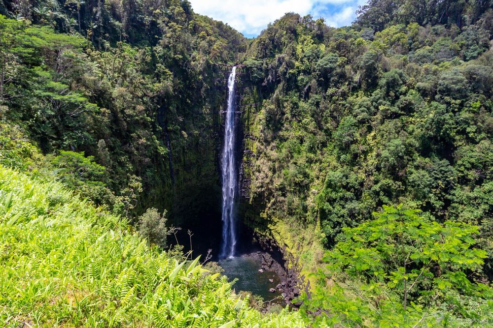 Les belles Akaka falls depuis le belvédère aménagé.