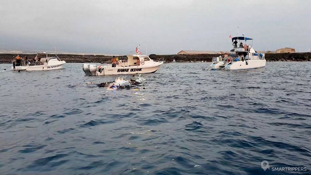 D'autres bateaux qui sont déjà sur le lieu d'observation.
