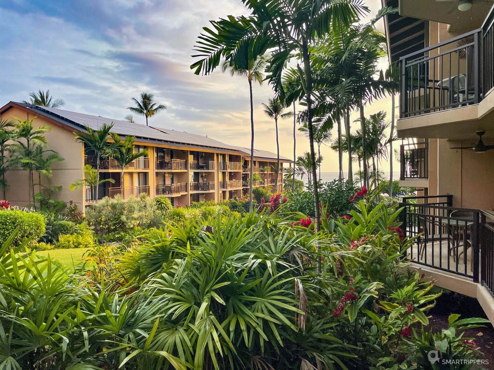 tour de table hawaii pas cher