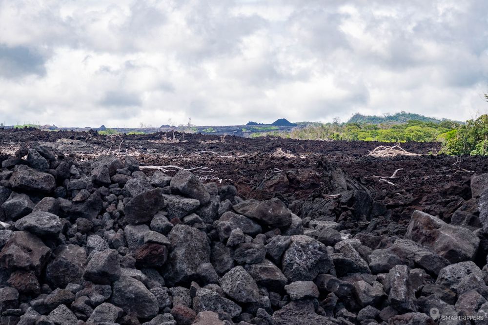 Vue vers le nord de la coulée d'où l'on distingue les cônes de lave créés par l'éruption.