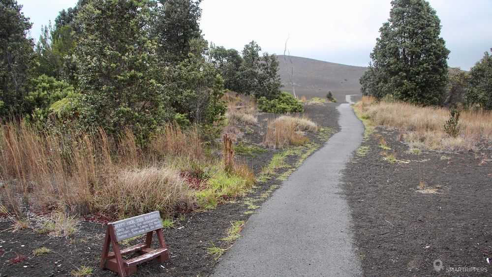 Une fois passée, la forêt laisse place à l'aridité
