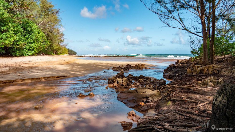 Le début de Gillin's beach, à l'arrivée sur la plage.