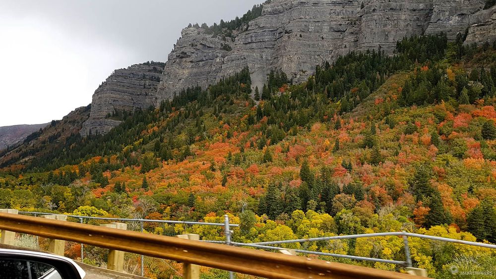 Autumn colours along Highway 89.
