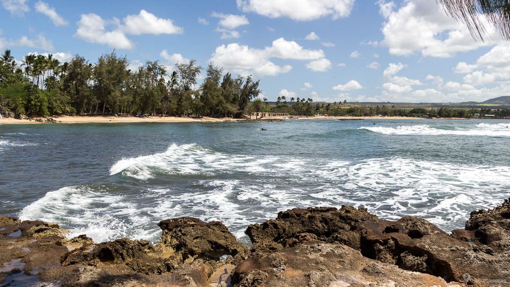 Agréable baie près du d'Halei'wa beach park.