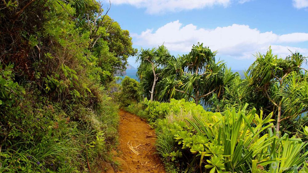 Sur le sentier de randonnée du Kalalau Trail, à Kauai.