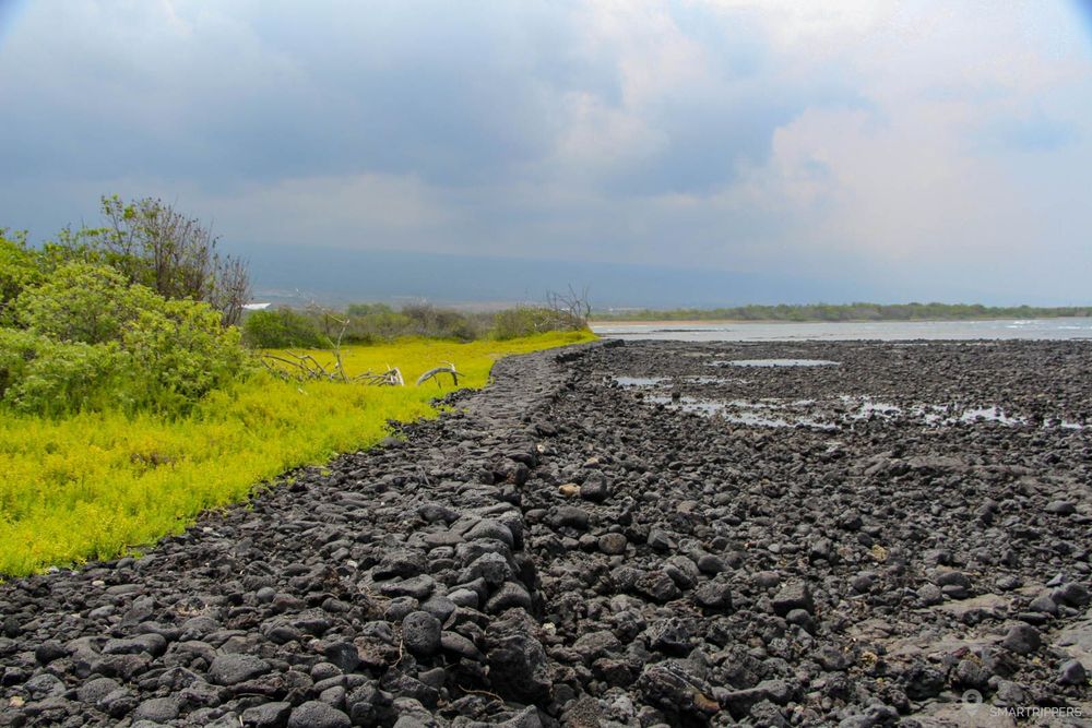 Sur Ala Kahakai Historic Trail après avoir longé la plage.