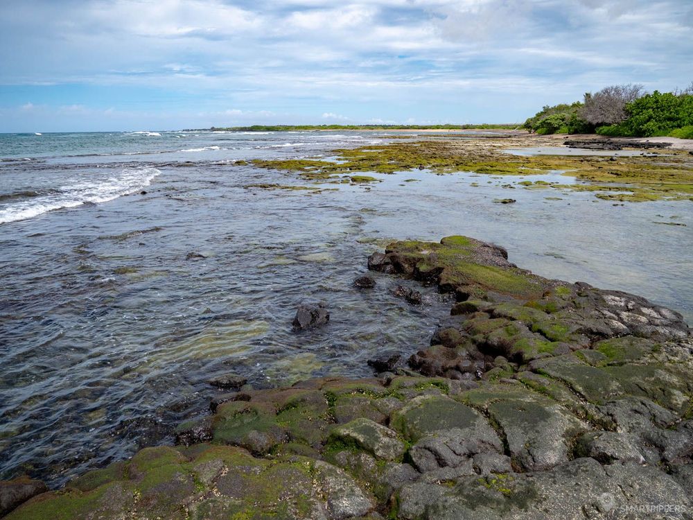 Au bord de Honokōhau Beach à marée basse.
