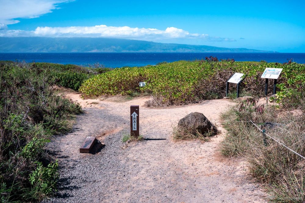 Début du sentier de terre.