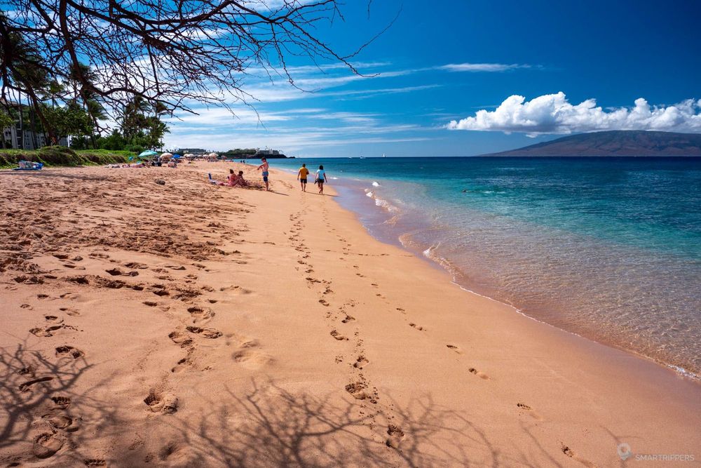 Le sud de la plage, au niveau de la bande de gazon.