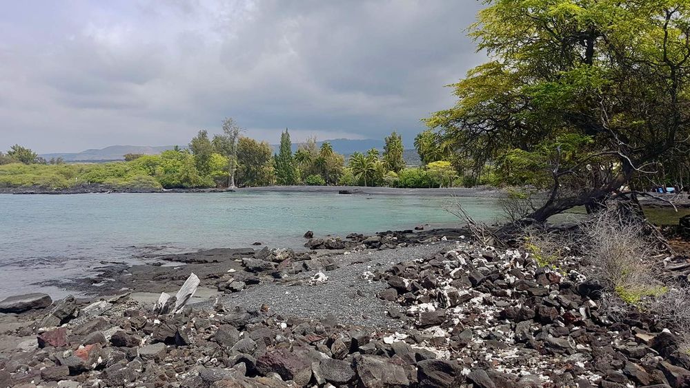 Viewed at the edge of Kiholo Bay, the fishpond is in the background, behind the trees.