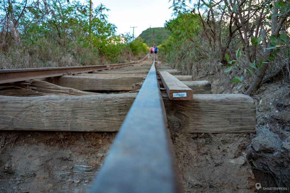 Gros plan sur les rails.