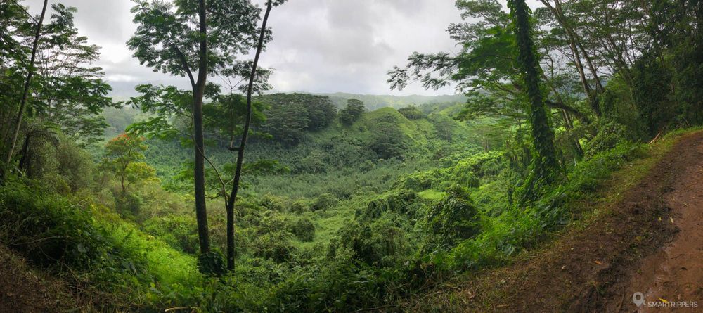 View on the heart of Kauai at the beginning of the trail.