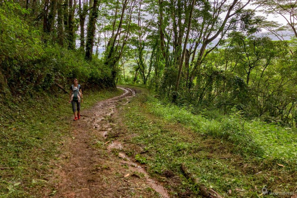 I walk quietly up the muddy path.