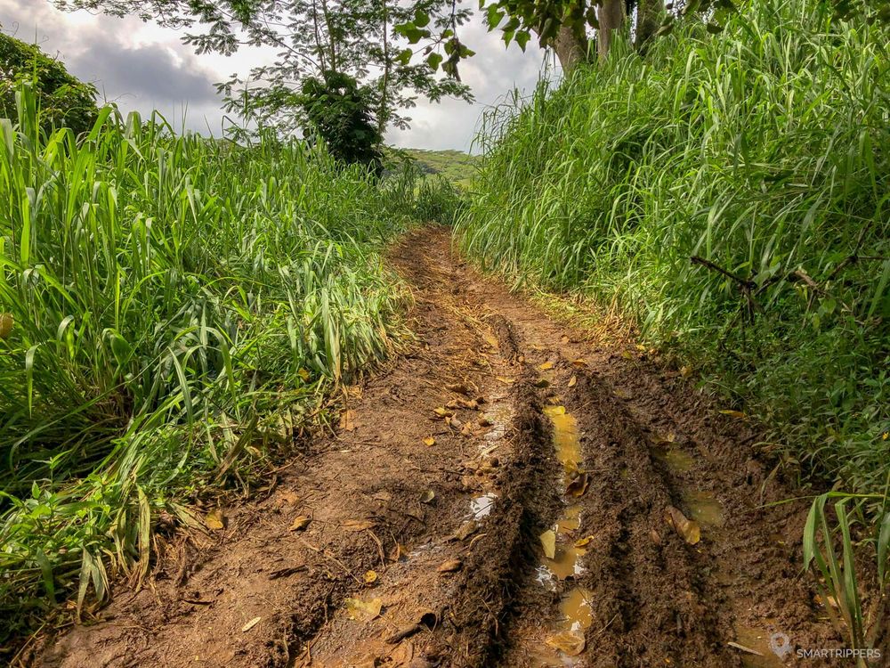 Mud is very present at the beginning of the trail.