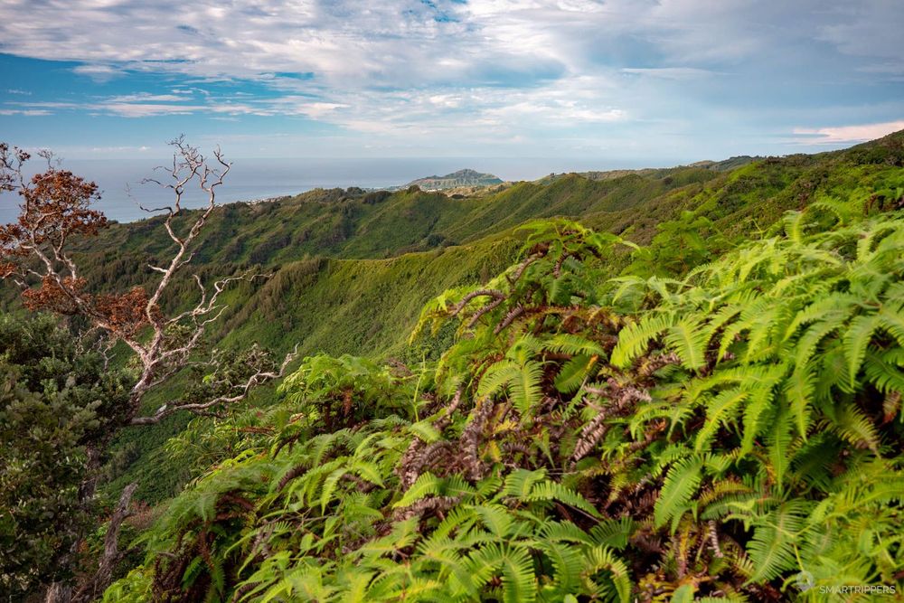 Vue sur les ridges avec le Diamond Head au bout.