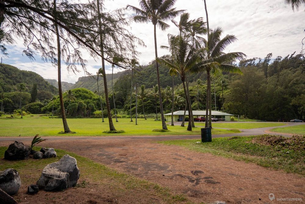 Espace d'herbe et palmiers au Laupāhoehoe Beach Park.