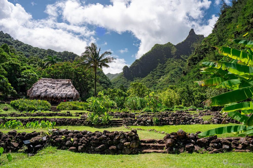 Le cadre verdoyant du Limahuli Garden depuis l'entrée du jardin