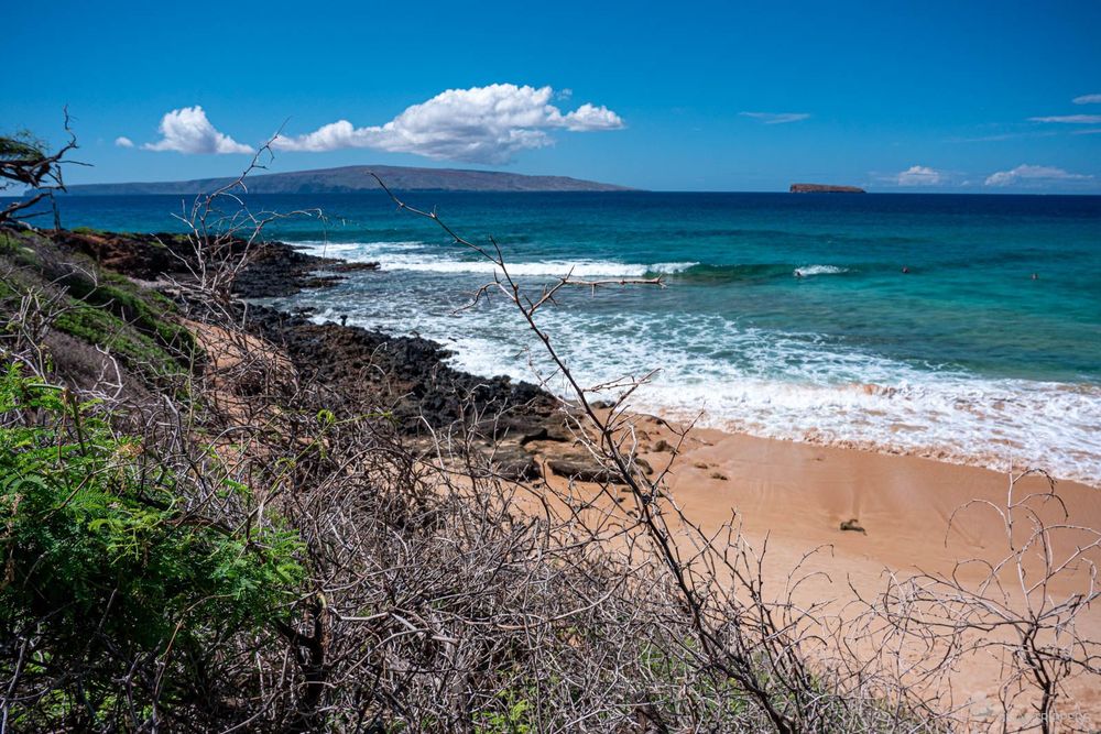 Vue sur l'extrémité sud de Little Beach