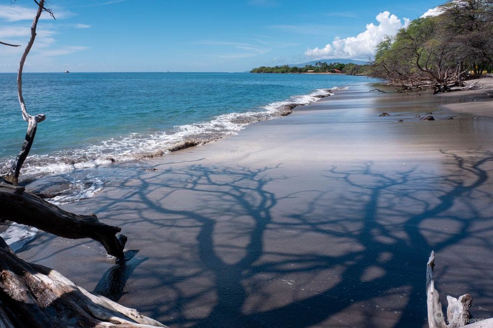Au bord de l'eau à Olowalu Beach.