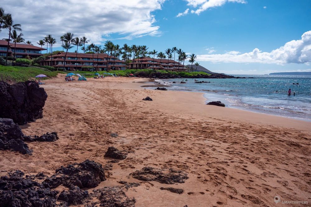 Côté sud de la plage, moins arboré.