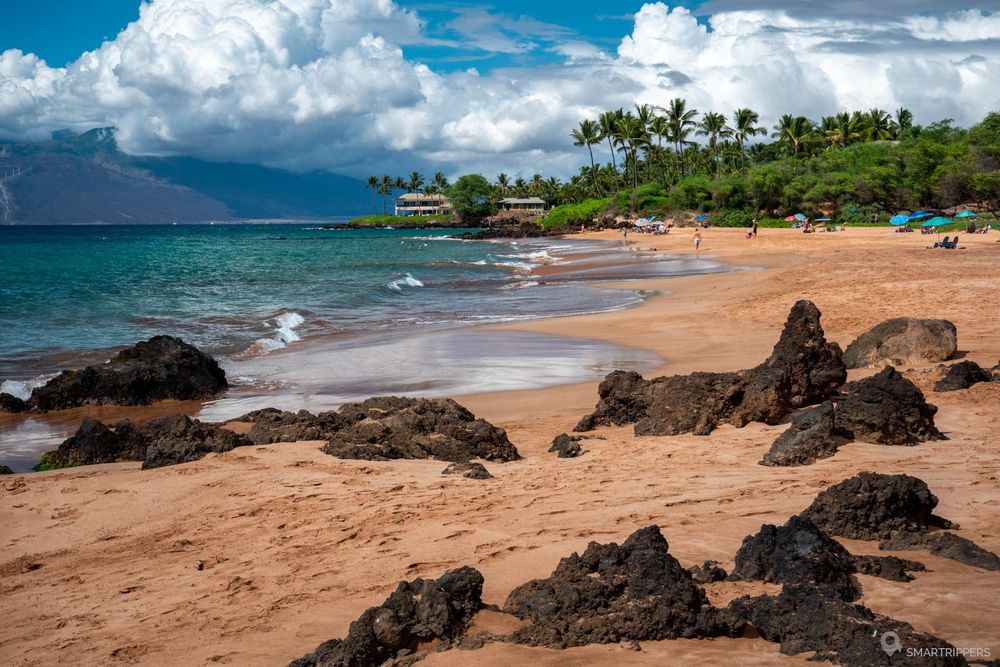 Le nord de la plage, près des arbres.