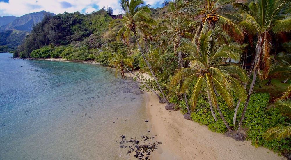 Plage de Waikokos sur l'île de Kauai