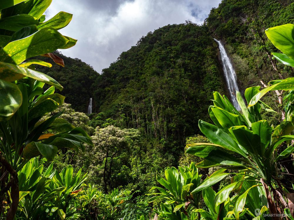 P p wai Trail la randonn e incontournable de Maui Smartrippers
