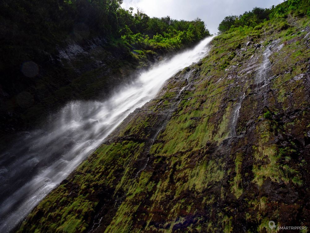 La Waimoku Falls au plus près.