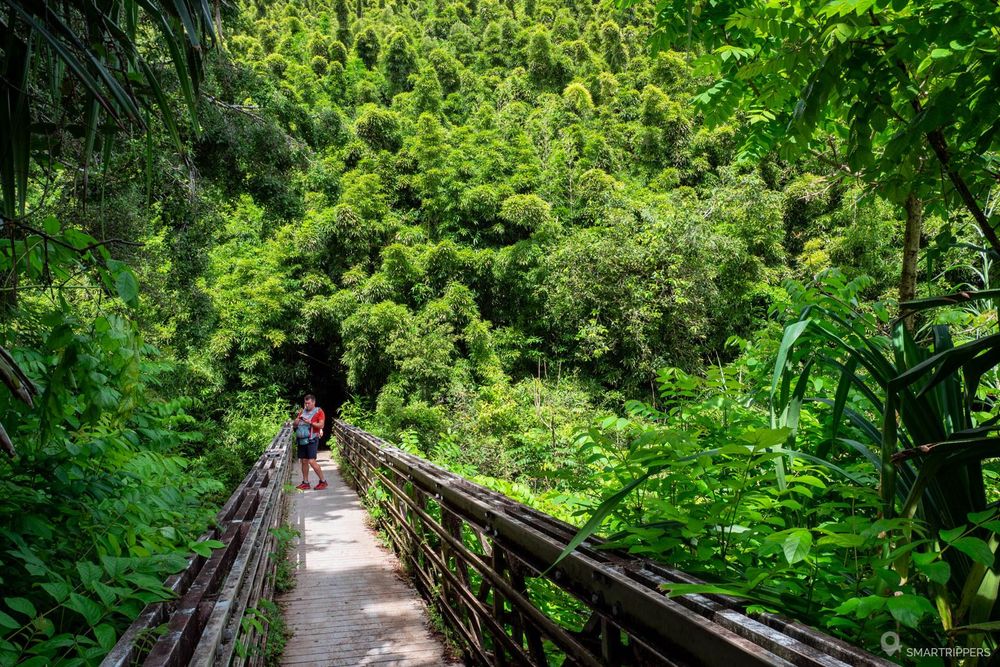 La première passerelle du Pipiwai trail nous mène à une première zone de bambous.