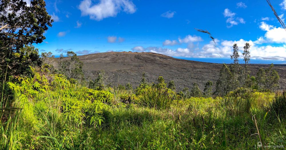Vue sur le Mauna Ulu depuis le Pu'u Huluhulu