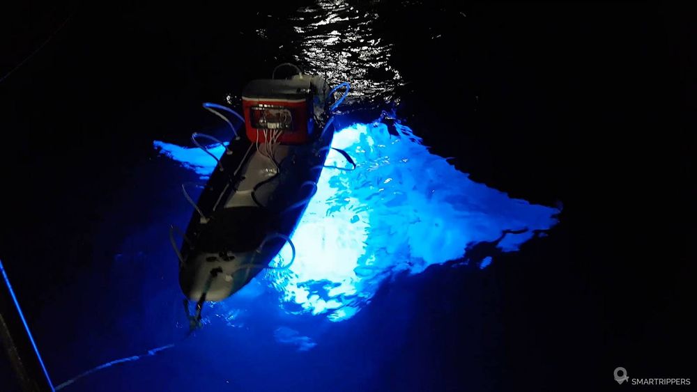 Une raie Manta passant sous la planche lumineuse.