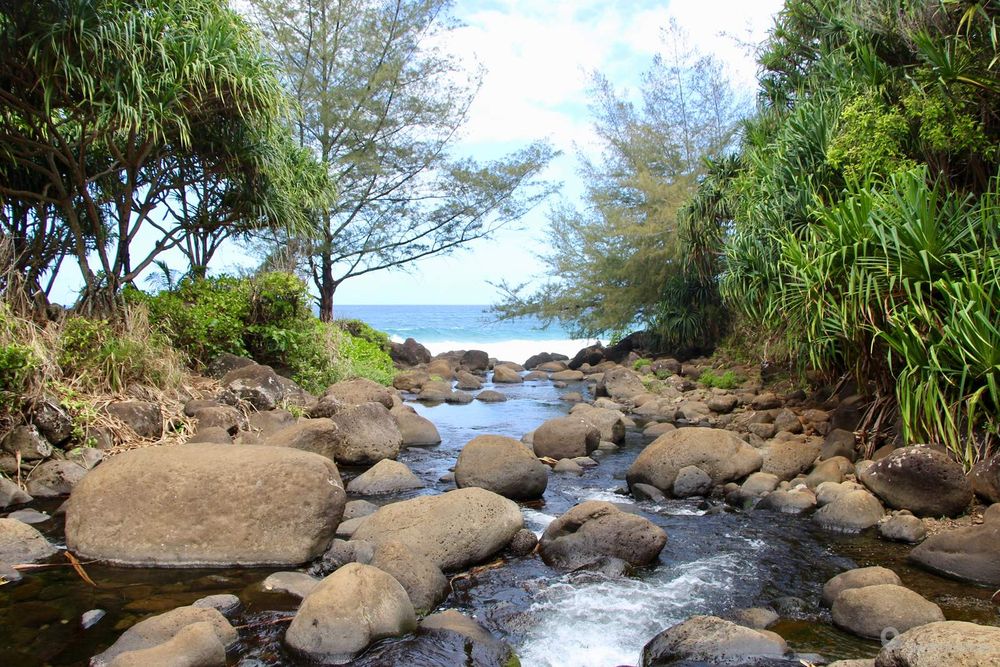 Rivière à traverser juste avant d'arriver à la plage d'Hapaka'ai beach.