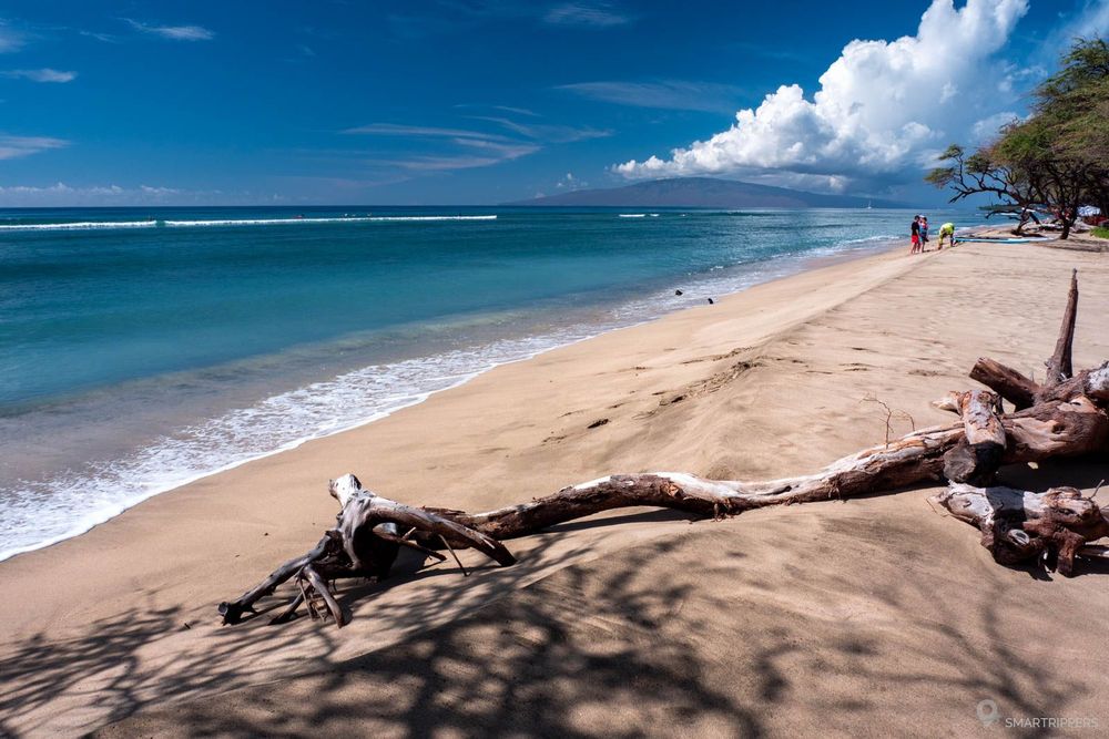 Bord de plage avec les vagues du récif au loin.