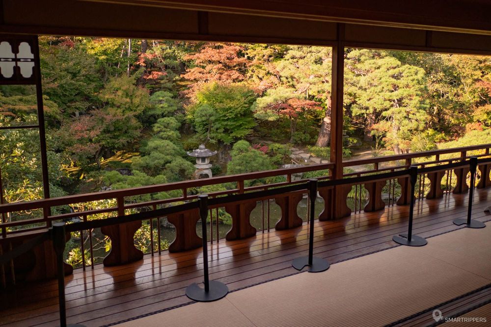 Room open to the garden.