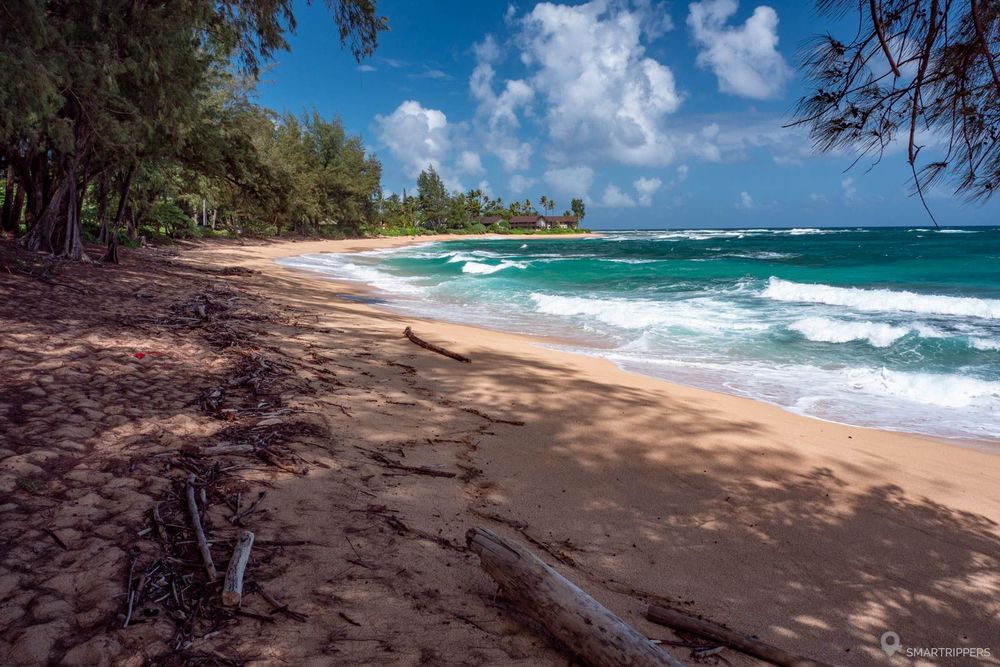 Balade à Wahinia beach en automne.