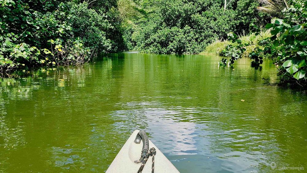 En canoë-kayak sur la Wailua river!