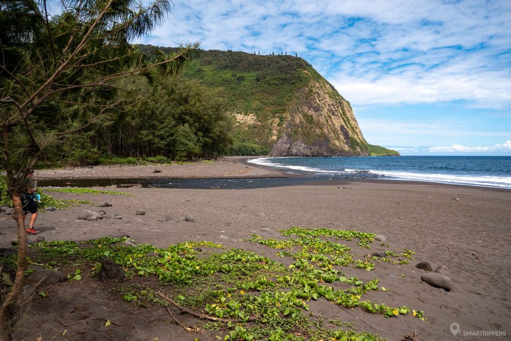 La plage côté rivière.