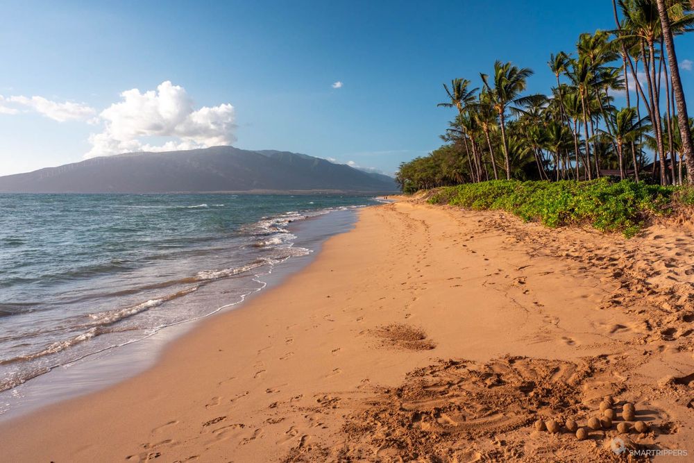 La plage côté nord en fin de journée.
