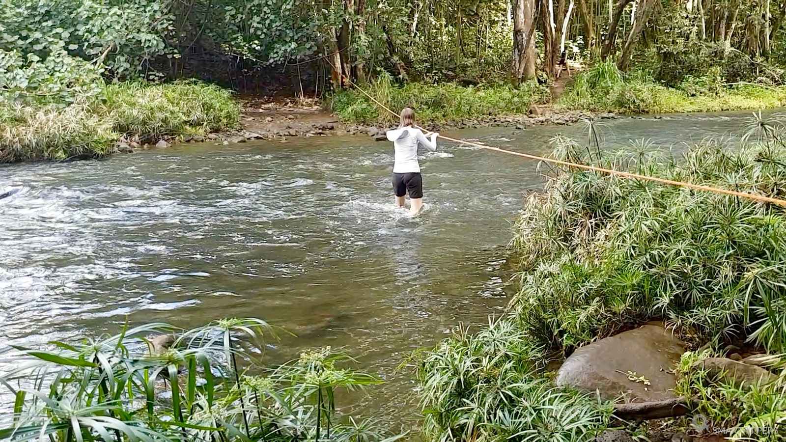 Wailua river and secret falls kayak deals and hiking tour